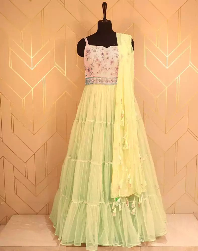 Designer Light Green Embroidery work Netted Dress Gown