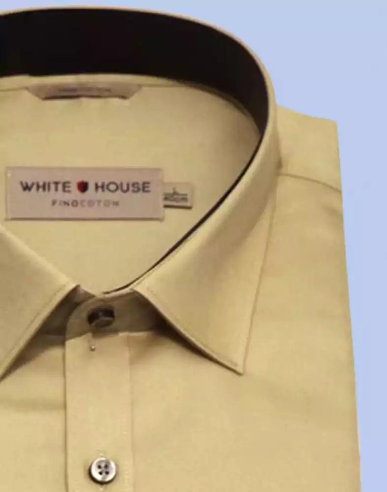 Cream Colour Plain Pure Cotton Shirt