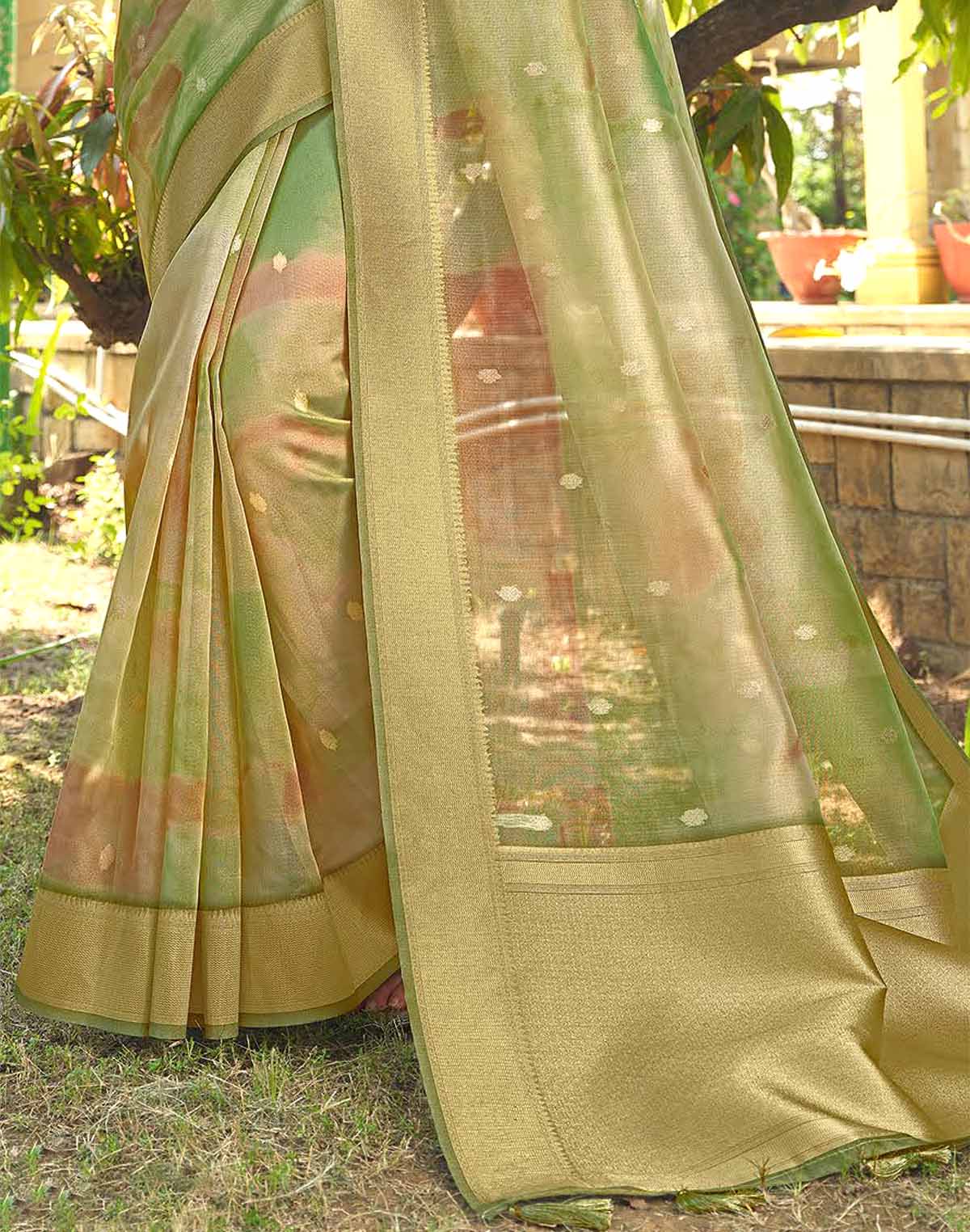 Green Graphic Design Organza Fancy Saree