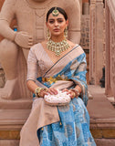 Aqua Blue Organza Digital Print Saree