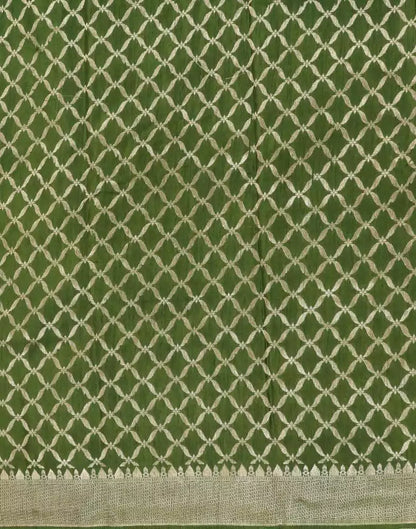 Banaras Fancy Light Green Floral Saree