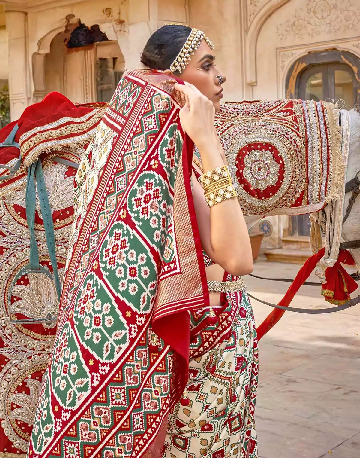 Patola Silk Ikat Saree